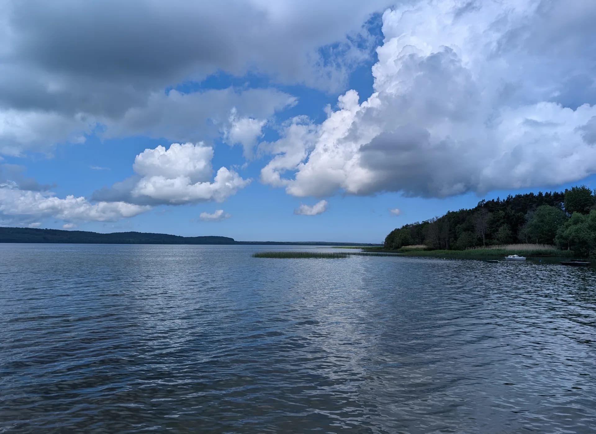 Zdjęcie: Jezioro Żarnowieckie