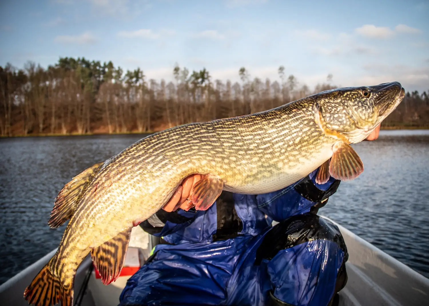 Fish4Win - Rezerwacje