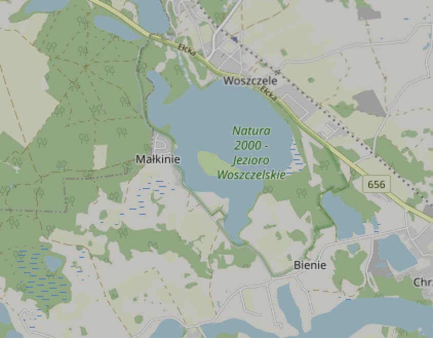 Zdjęcie: Jezioro Woszczelskie