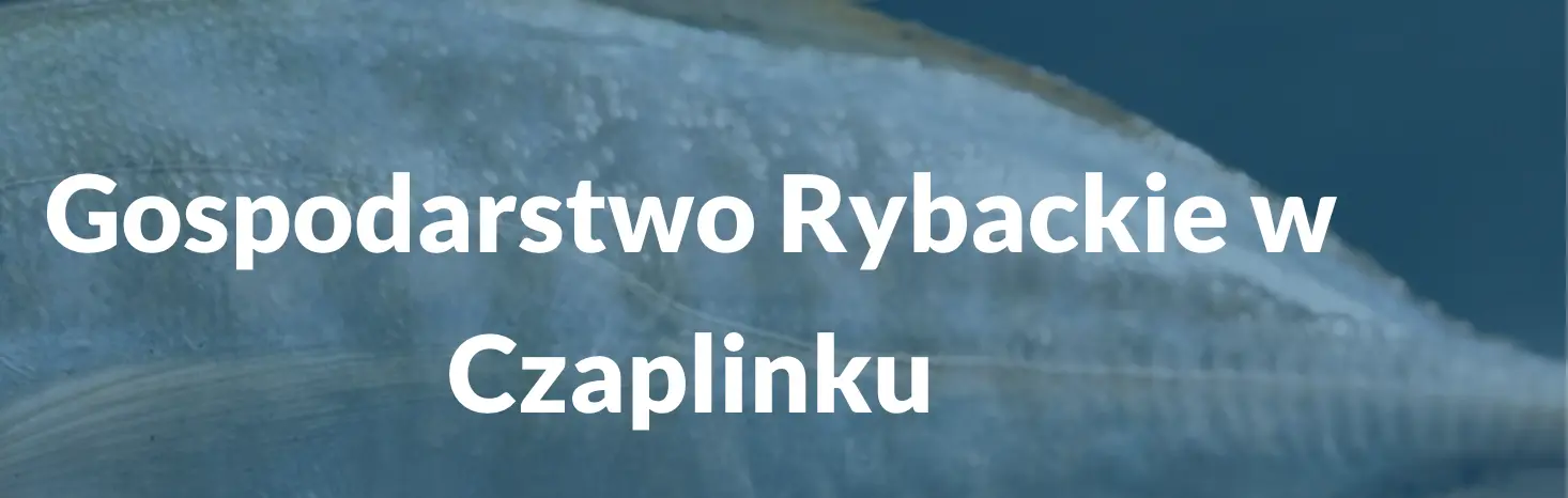 Gospodarstwo: Gospodarstwo Rybackie w Czaplinku