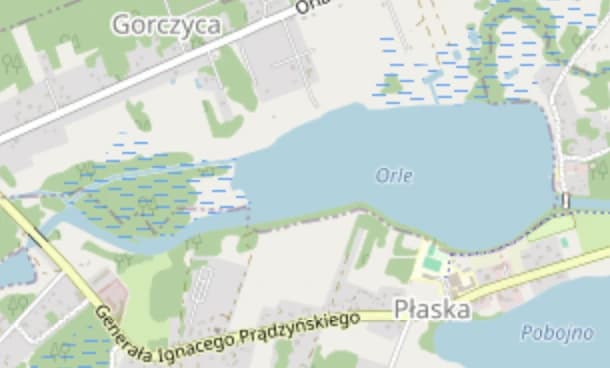 Zdjęcie: Jezioro Orle