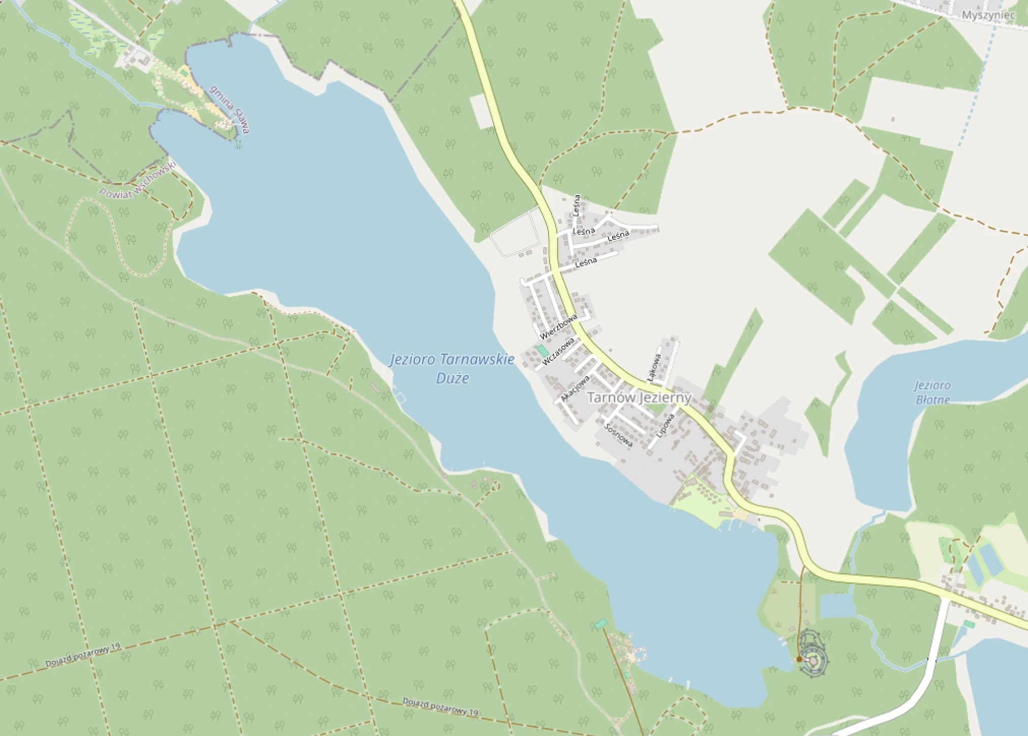 Zdjęcie: Jezioro Tarnowskie Duże