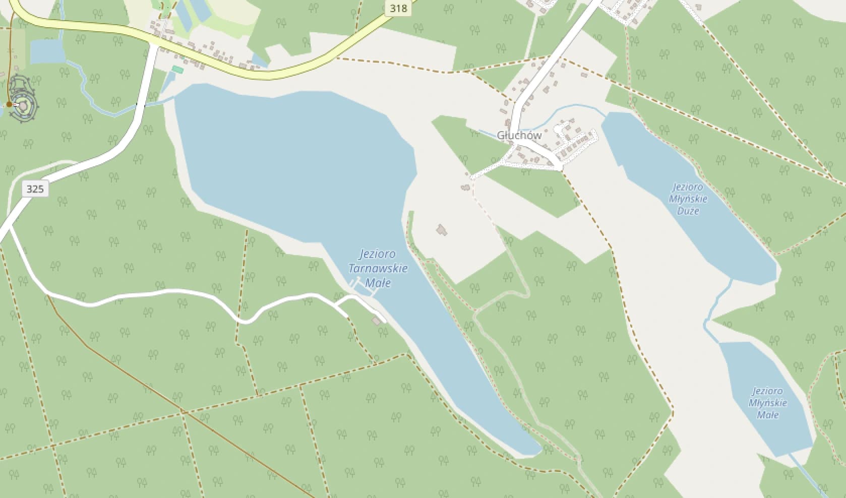 Zdjęcie: Jezioro Tarnowskie Małe